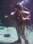 IMG_7712 IMG_7712