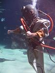 IMG_7714 IMG_7714