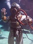 IMG_7716 IMG_7716