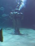 IMG_7721 IMG_7721