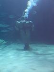IMG_7722 IMG_7722