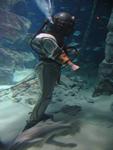 IMG_7725 IMG_7725
