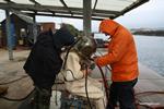 IMG_9115 IMG_9115