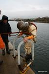 IMG_9124 IMG_9124