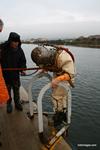 IMG_9125 IMG_9125