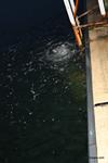 IMG_9316 IMG_9316