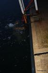 IMG_9317 IMG_9317