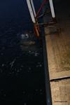 IMG_9318 IMG_9318