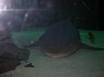 DSCN0146 DSCN0146