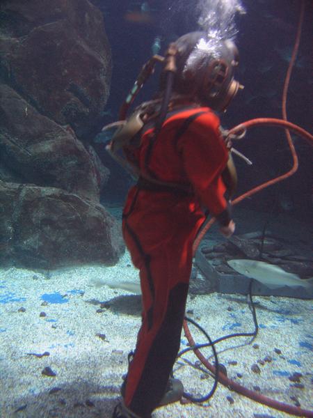 IMG_2791