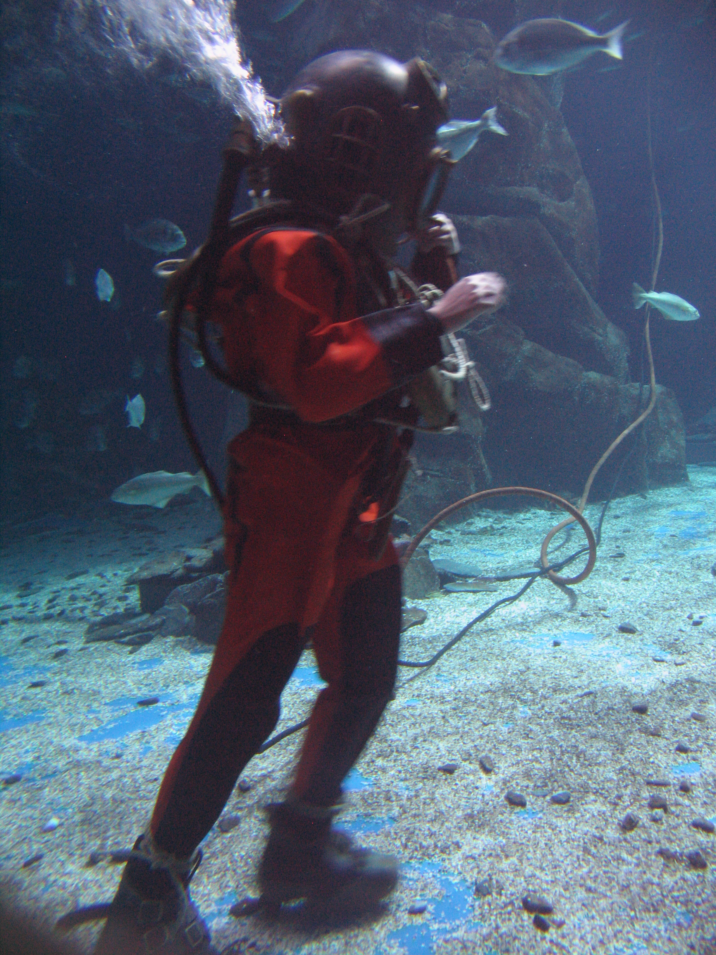 IMG_2868