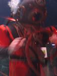 IMG_3236 IMG_3236