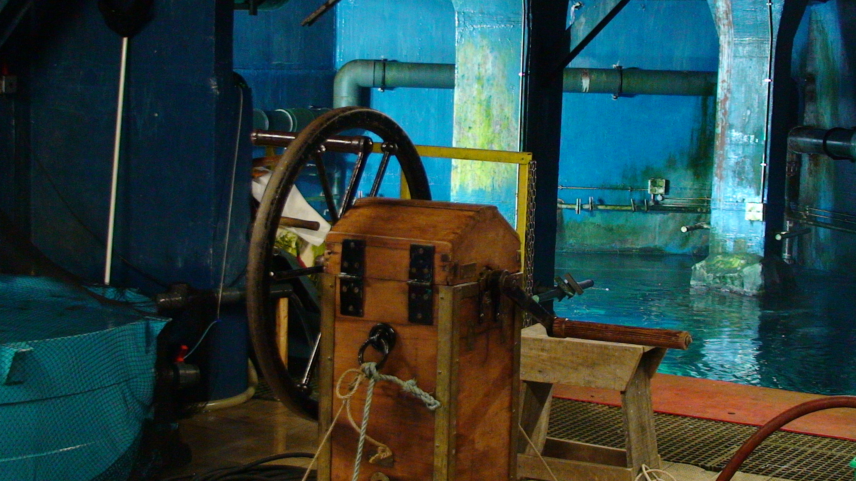 DSC00135