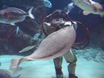 IMG_5718 IMG_5718