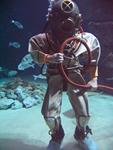 IMG_5722 IMG_5722