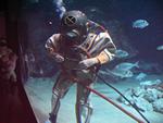 IMG_5724 IMG_5724