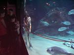 IMG_5725 IMG_5725