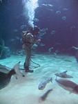 IMG_5737 IMG_5737