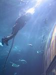 IMG_5743 IMG_5743
