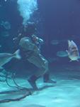IMG_5749 IMG_5749