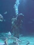 IMG_5751 IMG_5751
