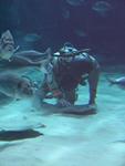 IMG_5752 IMG_5752