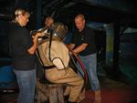 IMG_5785 IMG_5785