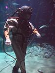 IMG_5793 IMG_5793