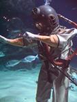 IMG_5795 IMG_5795