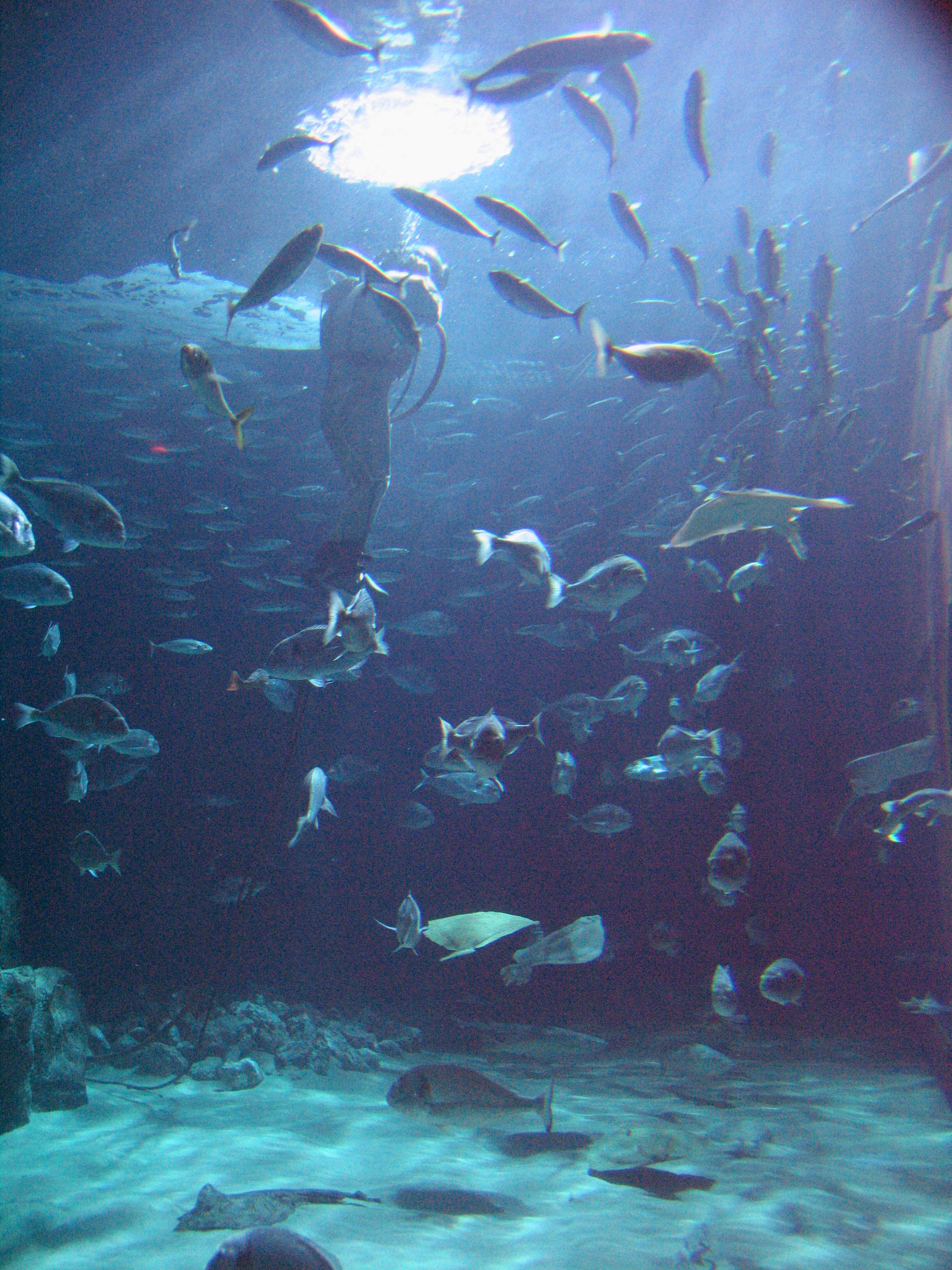 IMG_5860