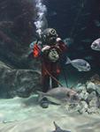 IMG_5990 IMG_5990
