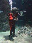 IMG_5991 IMG_5991