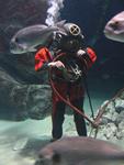 IMG_5993 IMG_5993