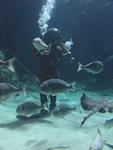 IMG_5996 IMG_5996