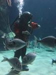 IMG_5998 IMG_5998