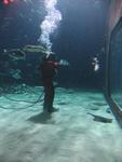 IMG_5999 IMG_5999