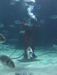 IMG_6001 IMG_6001