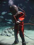 IMG_6004 IMG_6004