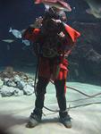 IMG_6008 IMG_6008