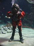 IMG_6009 IMG_6009