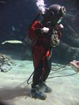 IMG_6010 IMG_6010