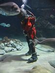 IMG_6013 IMG_6013