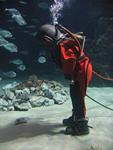 IMG_6014 IMG_6014