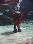 IMG_6017 IMG_6017
