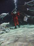 IMG_6019 IMG_6019