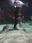 IMG_6021 IMG_6021