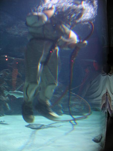 IMG_7308